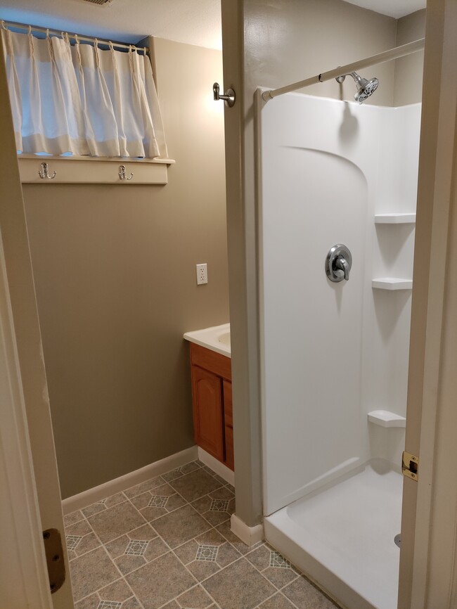 Basement bathroom - 13935 Arbor Cir