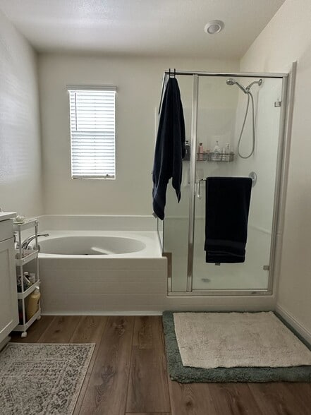 Master bath with tub and shower - 30321 Town Square Dr