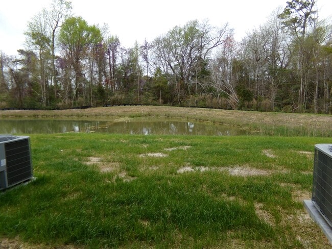 Building Photo - Welcome to Jacks Branch Townhomes – Modern Living in Hubert, NC!