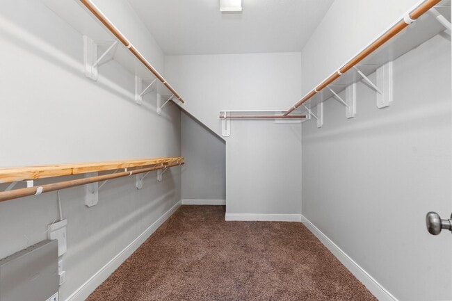 Building Photo - 3531 Shoreview Ln