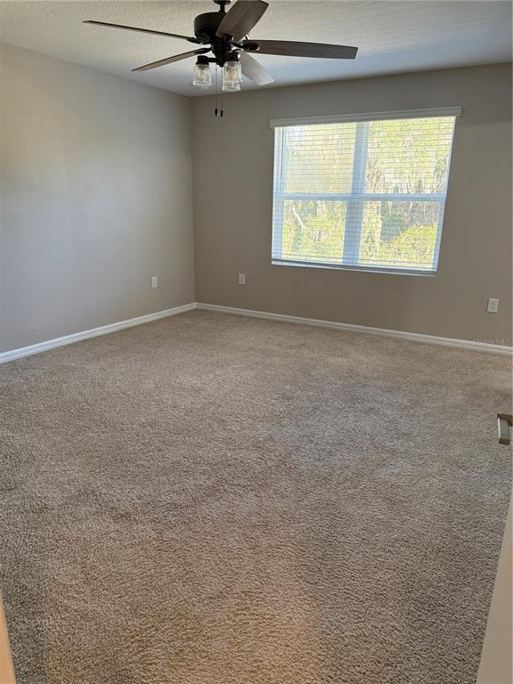 Building Photo - 3593 Anibal St