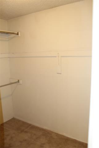 Building Photo - 2207 Canterbury Ct