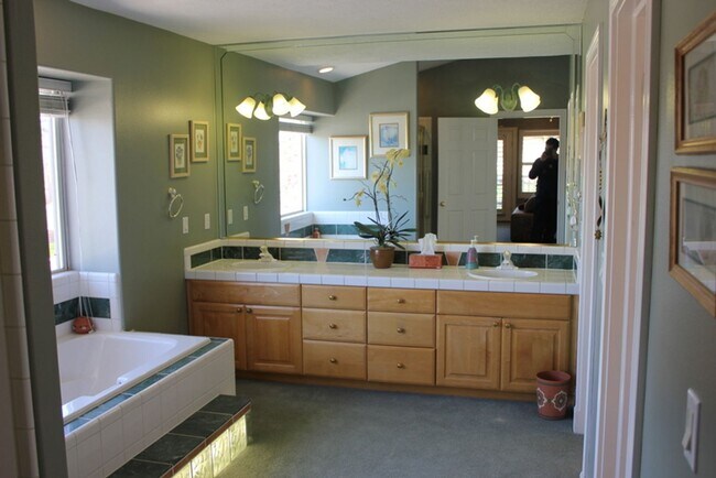 Building Photo - 682 Lava Pointe Dr