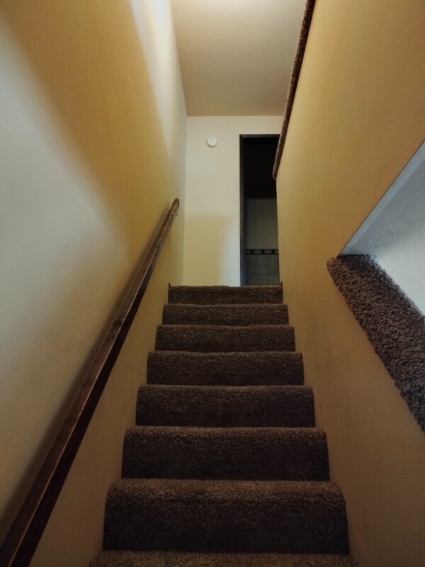 Building Photo - 797 Meadows Dr