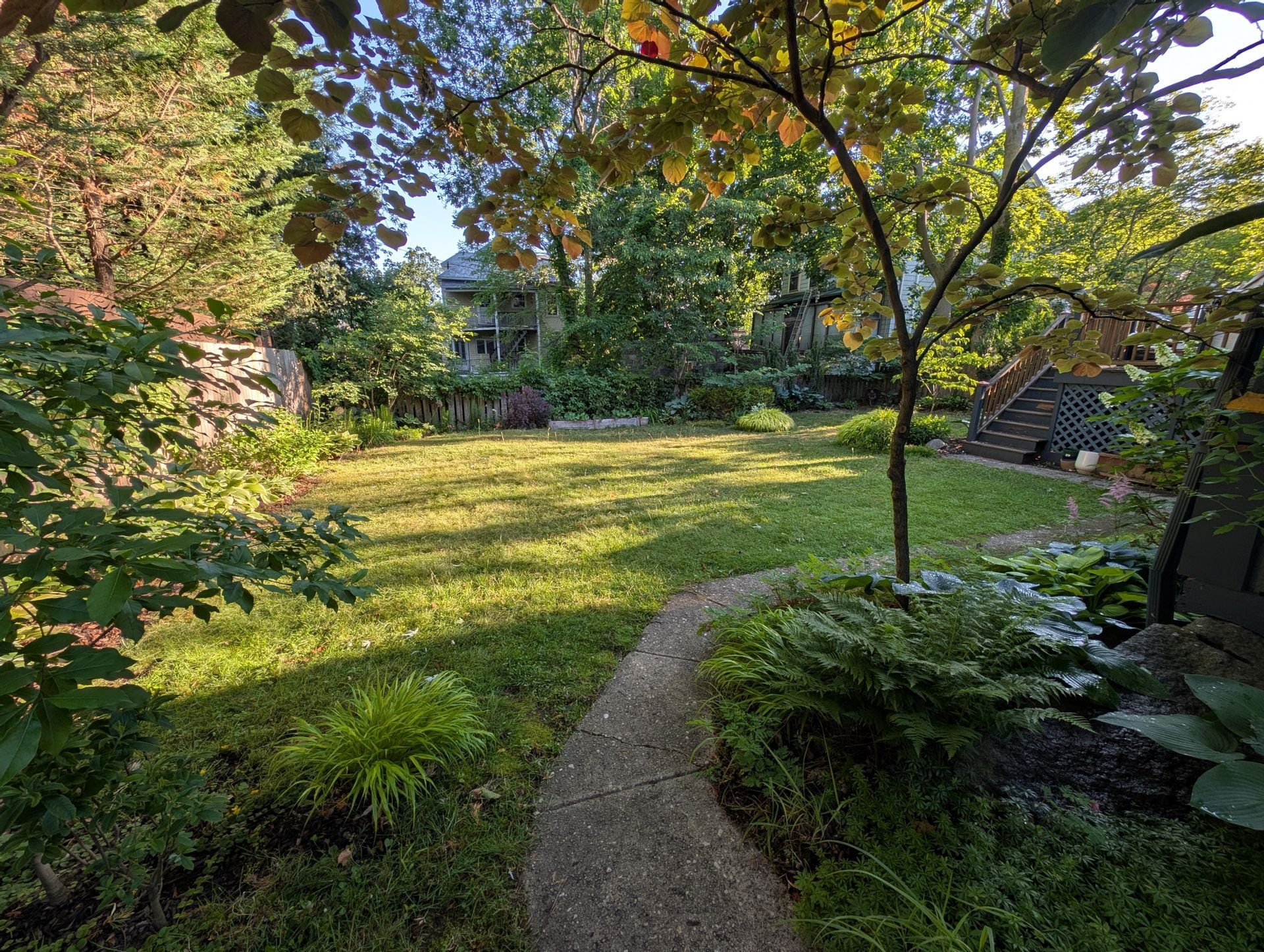 Backyard - 38 Melville Ave