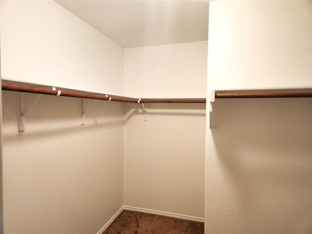 Building Photo - 1224 Elkford Ln