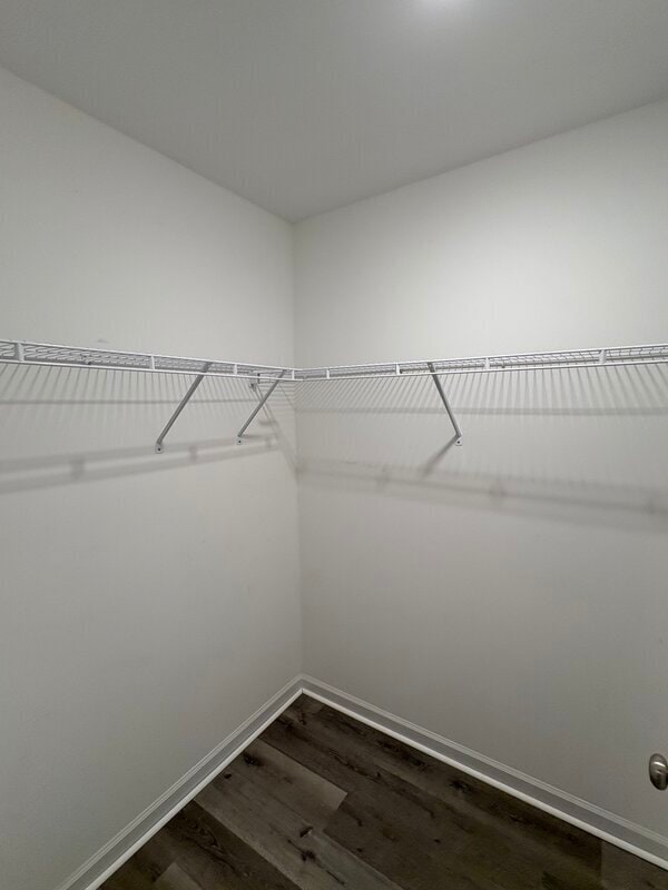 Building Photo - 230 Wading Bird Loop