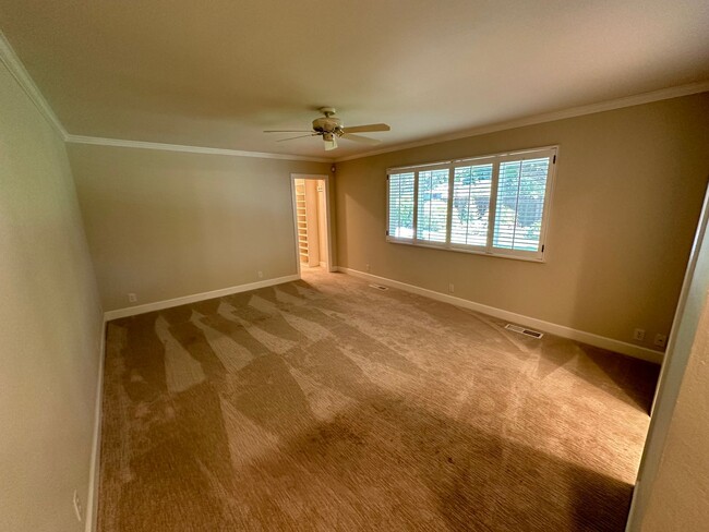 Building Photo - 5 Bed 3 Bath In Alamo W/ Pool
