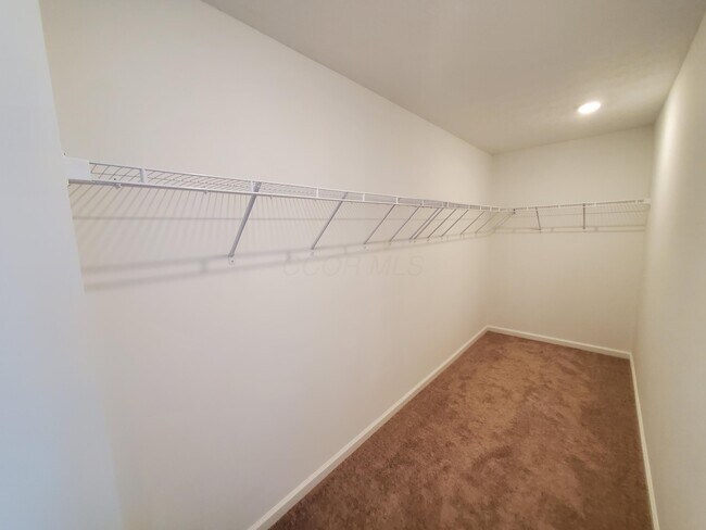 Building Photo - 15 Clinchfield Ct