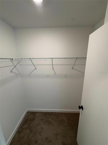 Building Photo - 3337 Tranquil Trl