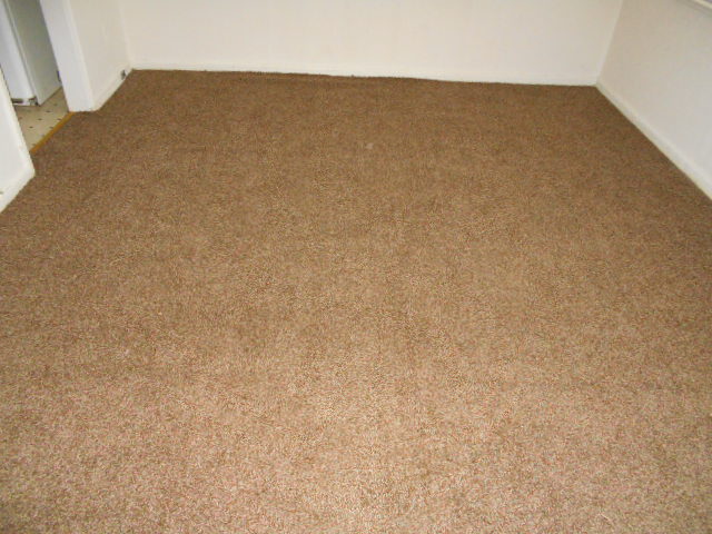 Building Photo - 3509 6th St