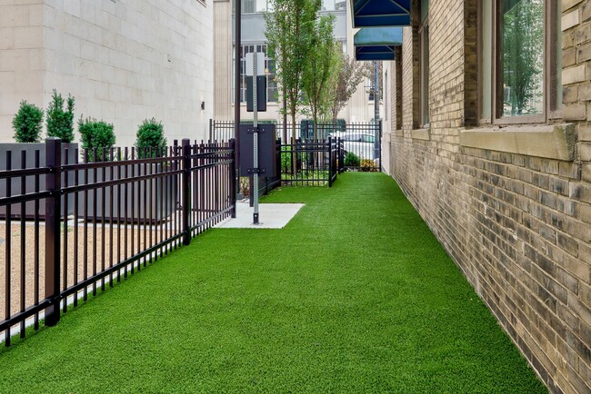 Dog Park - 11 W Gay St