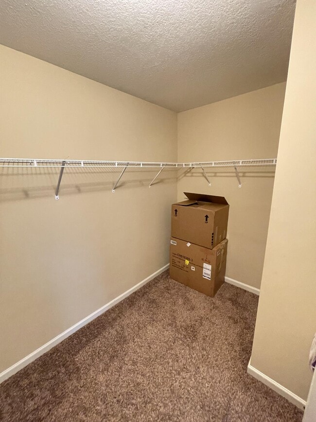 Building Photo - 7308 Sorrel Ct