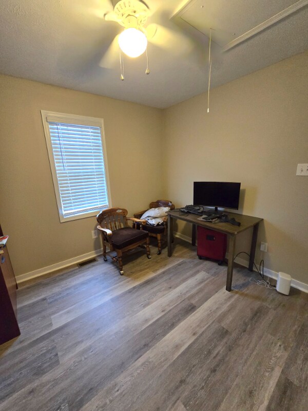 Building Photo - 4612 Raspberry Patch Ln