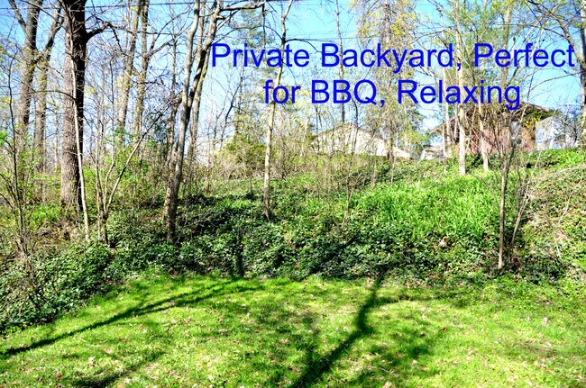 Backyard - 408 Montgomery Ave