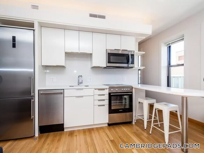 Building Photo - 115 Mt Auburn St