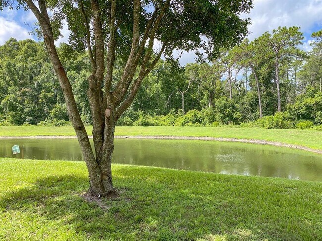 Building Photo - 11944 Palm Bay Ct