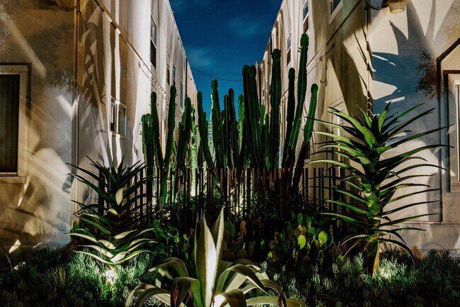 Primary Photo - Charming Studio Apartment in Vibrant Barri...