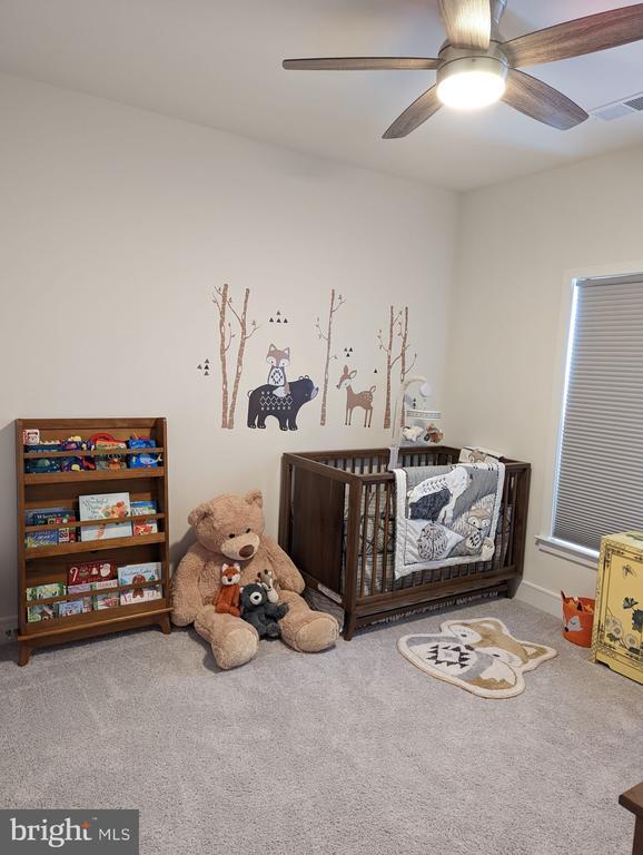 25436 Nichols Orchard Terrace 25436 Nichols Orchard Terrace Chantilly