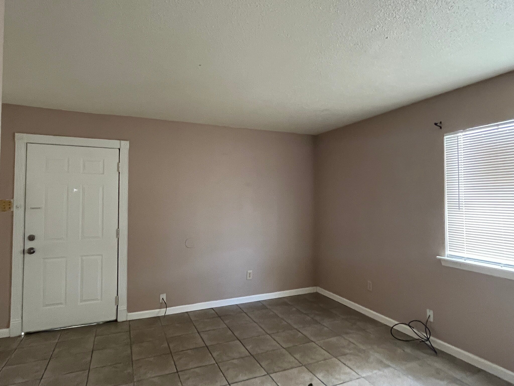 Living Room - 1036 Eli Ct