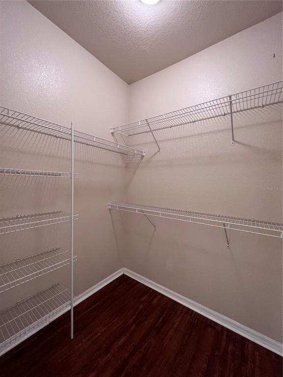 Building Photo - 10105 Courtney Oaks Cir