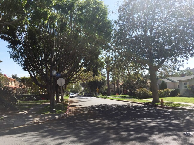 Lovely tree-lined streets - 1837 Parnell Ave