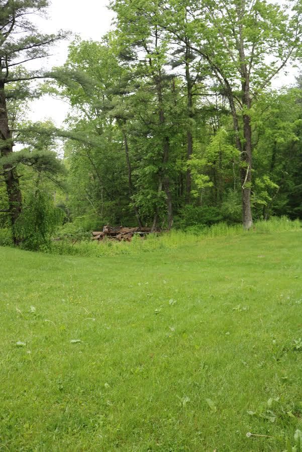 Building Photo - 1 Bedroom Freshly Painted Apartment with Bonus Room On Route 390 In Canadensis