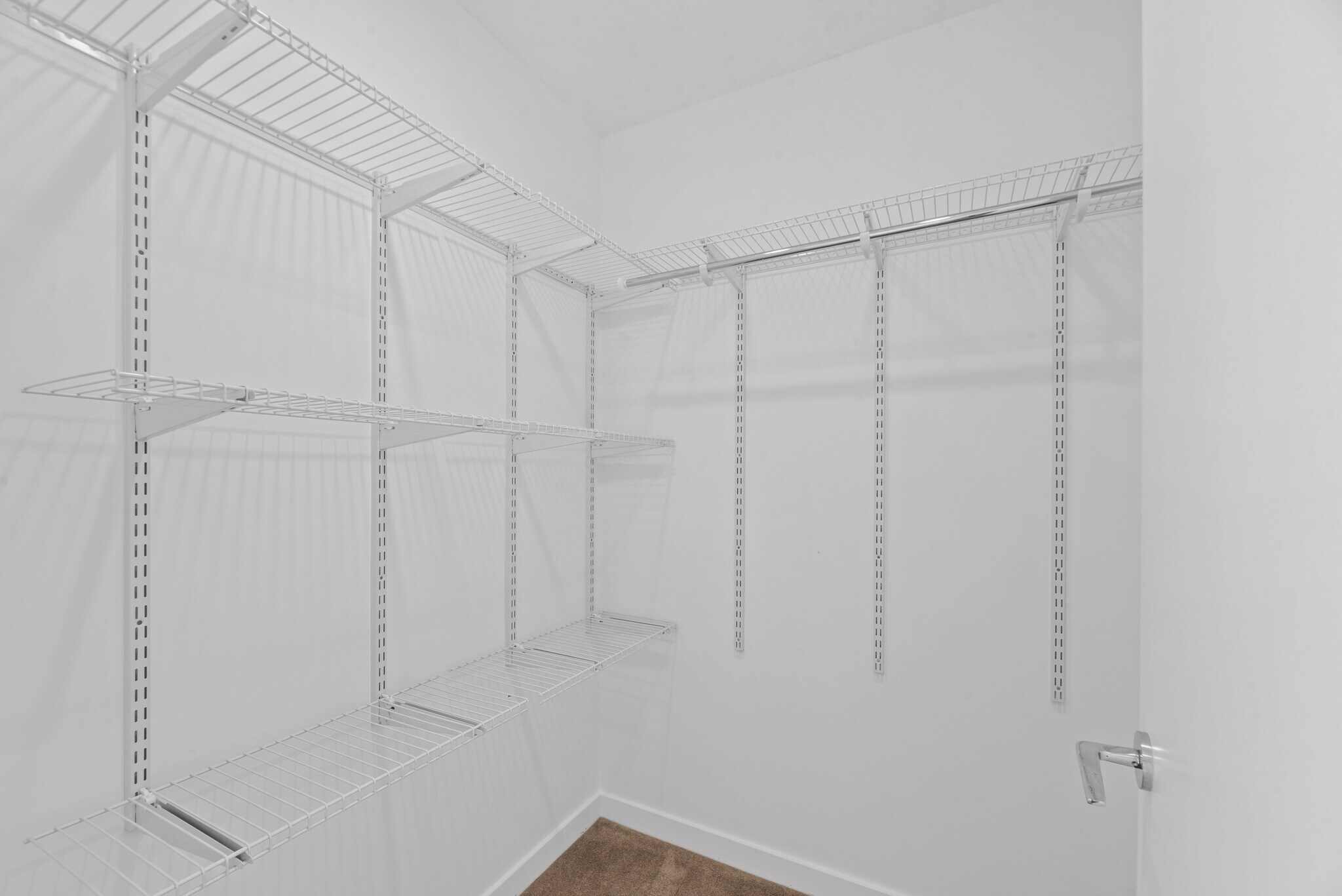 Building Photo - 1662 Lucile Ave