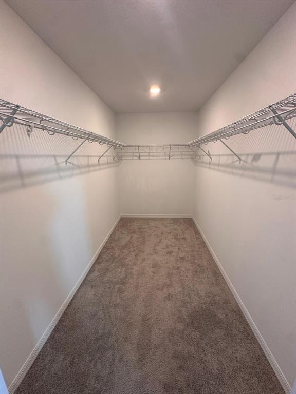 Building Photo - 349 Wayland Dr