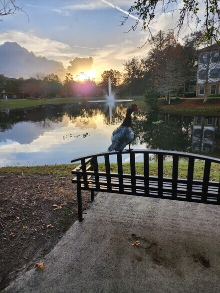 Building Photo - 12700 Bartram Park Blvd