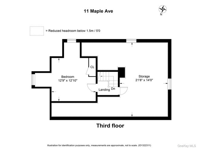 Building Photo - 11 Maple Ave