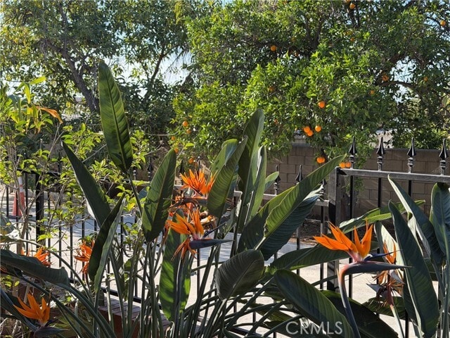 Building Photo - 3590 Buchanan St