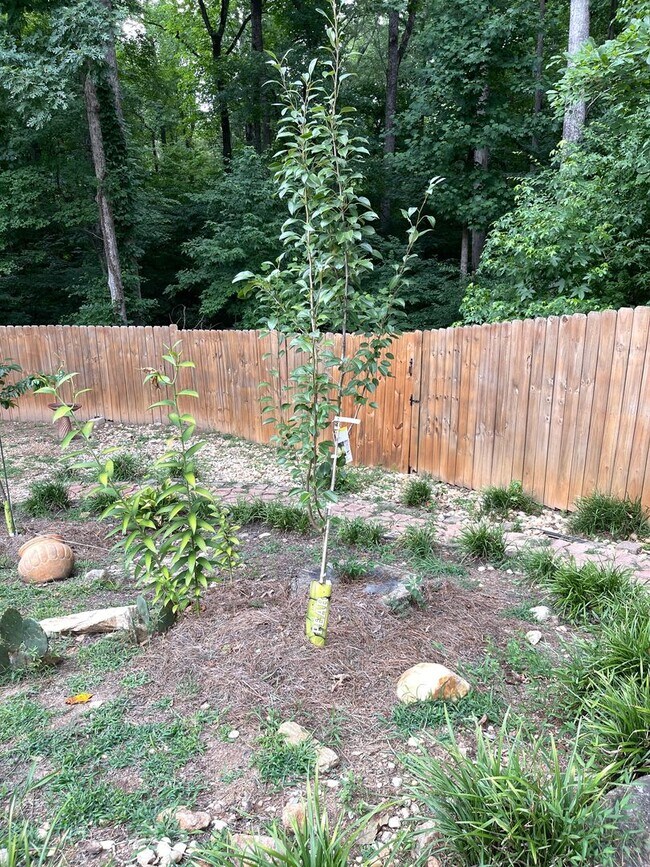 Building Photo - Chapel Hill Subdivision