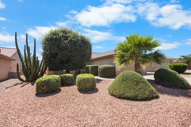Building Photo - Sun City Grand Home