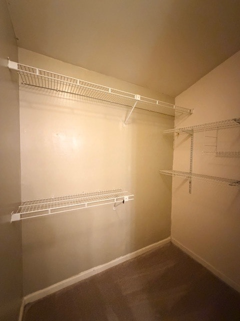 Building Photo - 9 Inkberry Ct