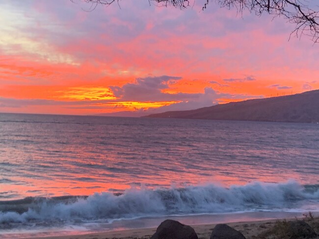 Primary Photo - Kai Makani