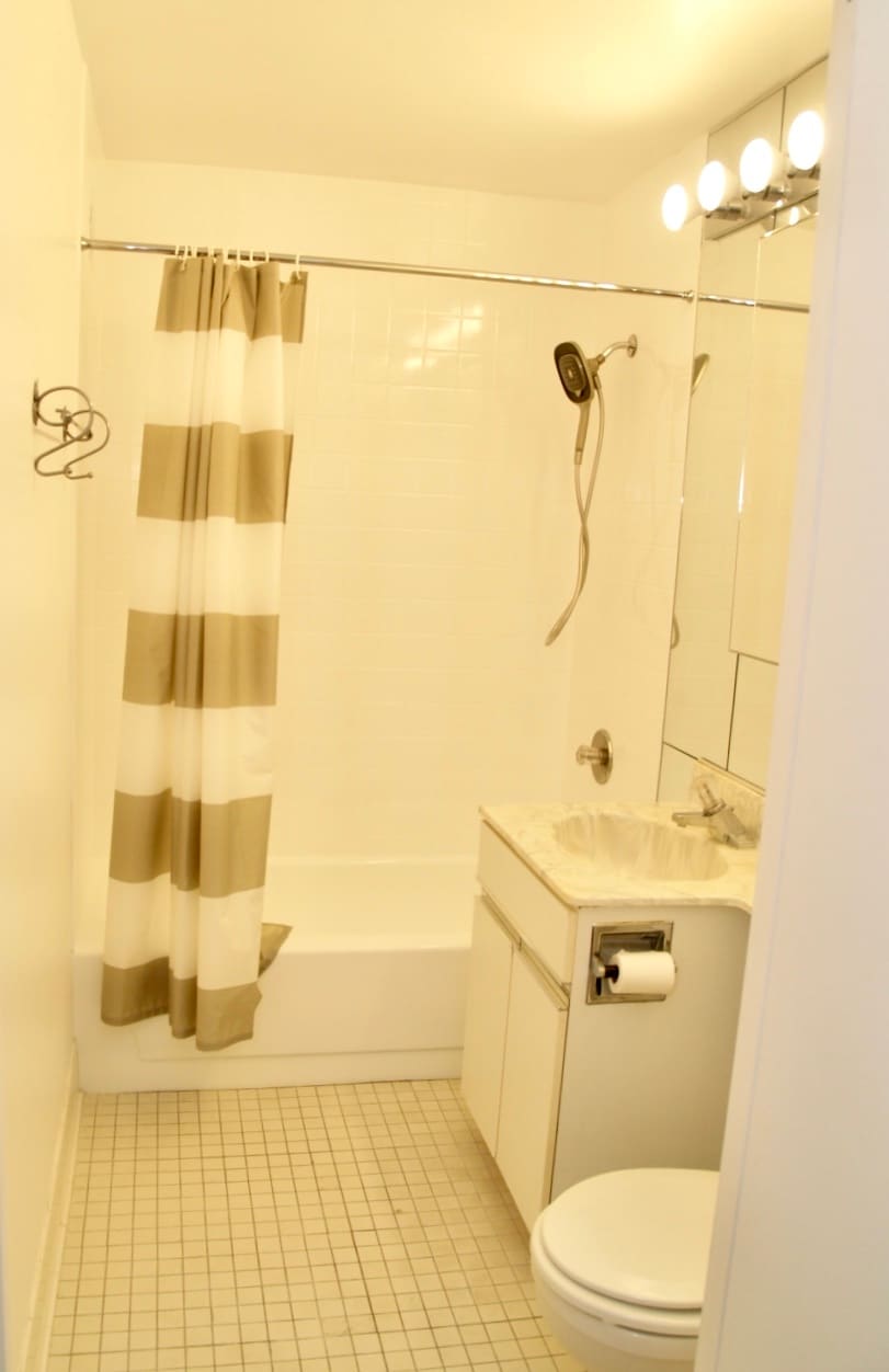Guest Bathroom - 111 Mulberry St