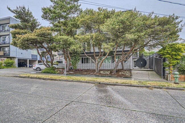 Building Photo - Spacious 1bed/1bath Apartment in West Seat...