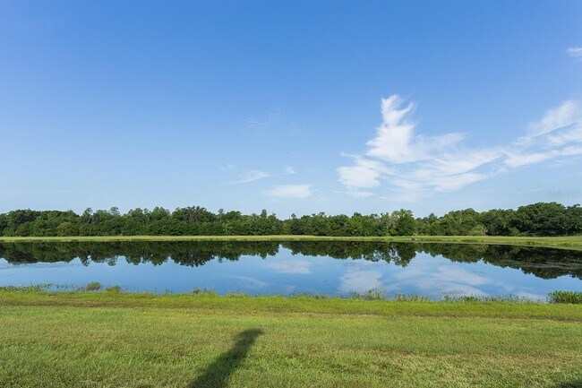 Building Photo - 2212 Grand Cayman Ct