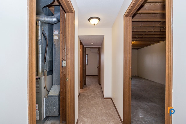 Building Photo - 3441 Portia St