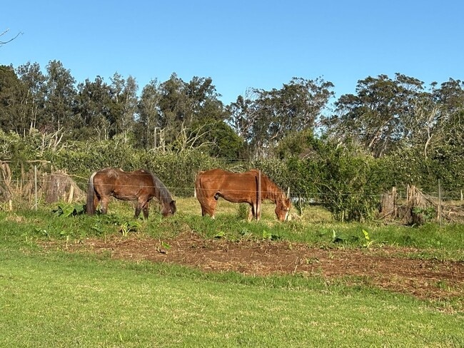 Building Photo - Private 3 bdrm custom home on acreage