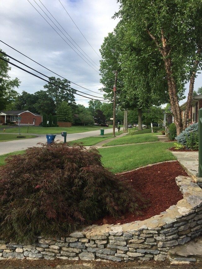 Building Photo - 3BR/1BA