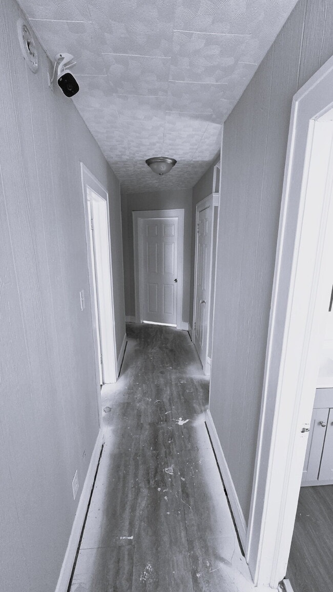 Building Photo - 4 Bedroom 2 Bath - Split Level Single Family Home!