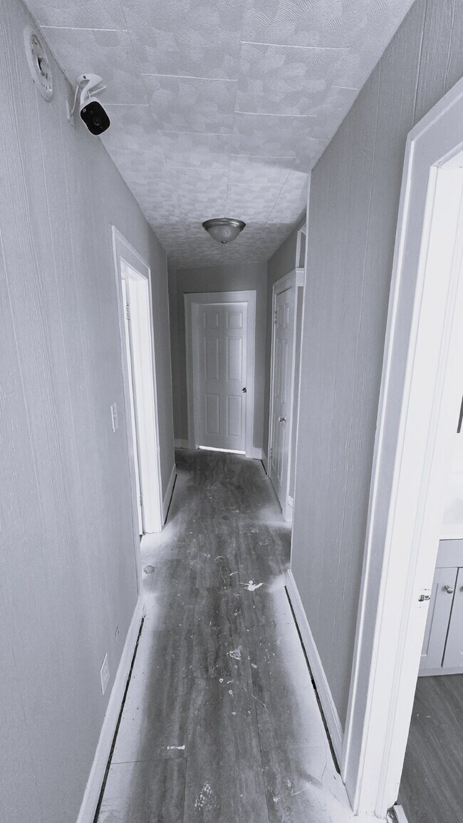 Building Photo - Coming Soon: 4 Bedroom 2 Bath - Split Level Single Family Home!