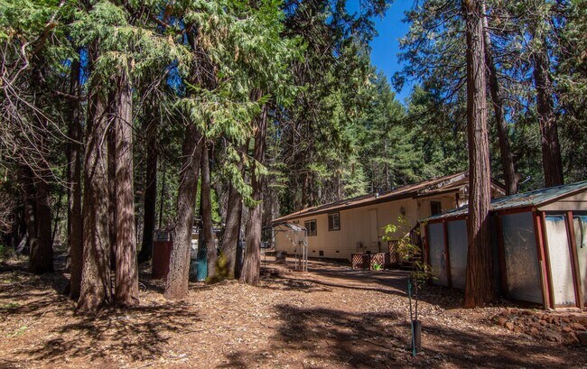 Building Photo - Furnished Shingletown Home with Horse Corral, Huge Fenced Back Yard and Chicken Coop!