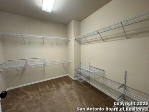 Building Photo - 5503 Arcadia Park