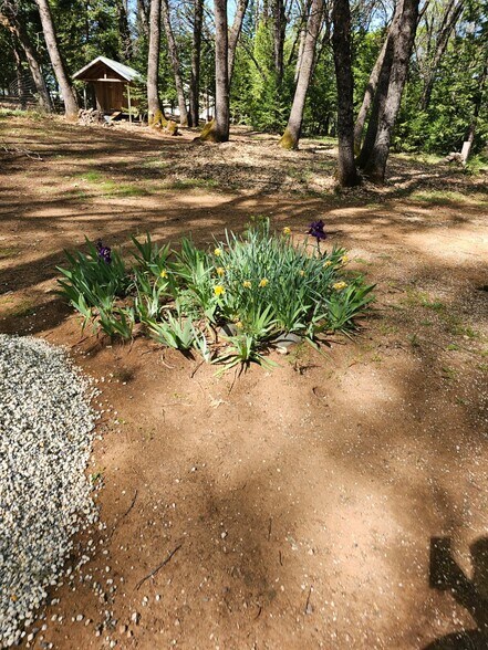 Building Photo - 11321 Beauview Rd