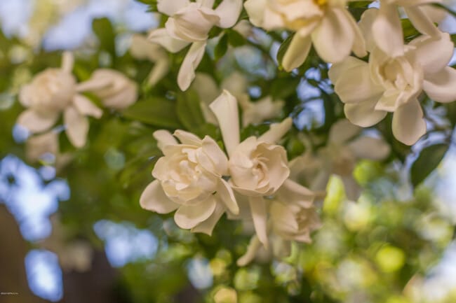 Building Photo - 1521 Yukon St