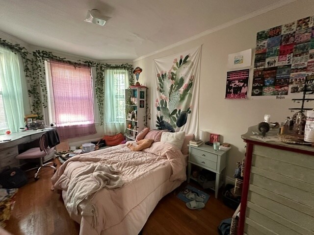 Building Photo - 46 Babcock St