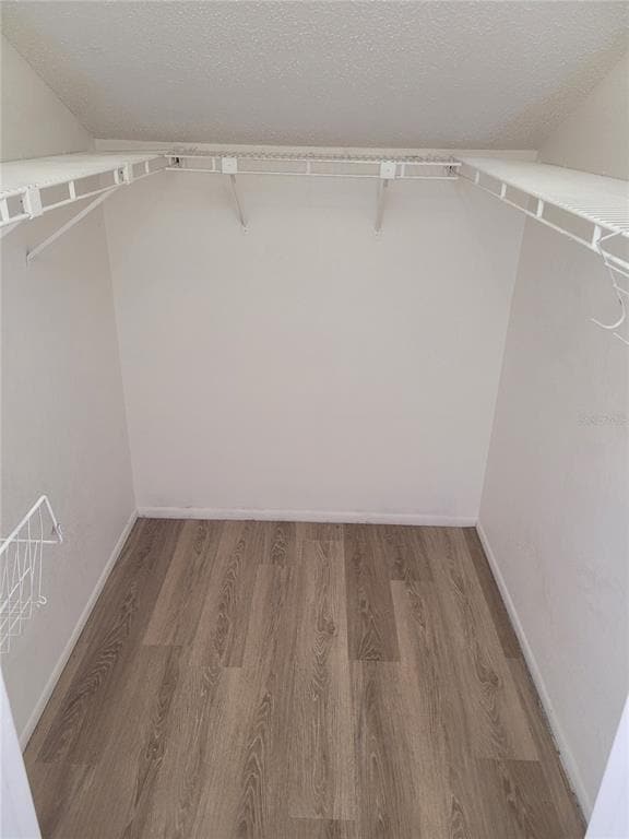 Building Photo - 1236 Dovehill Dr